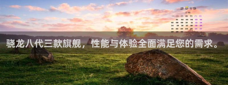 益达娱乐体育官网：骁龙八代三款旗舰，性能与体验全面满足您的需求。
