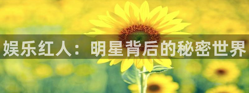益达娱乐注册登录入口：娱乐红人：明星背后的秘密世界