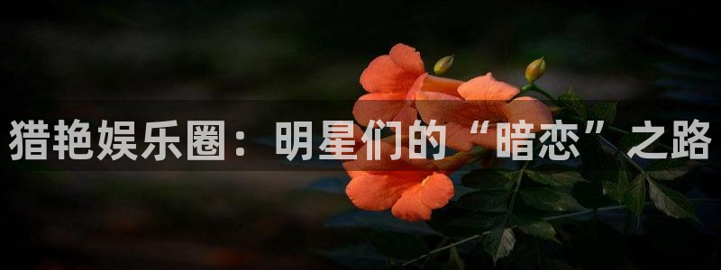 益达娱乐体育eon：猎艳娱乐圈：明星们的“暗恋”之路