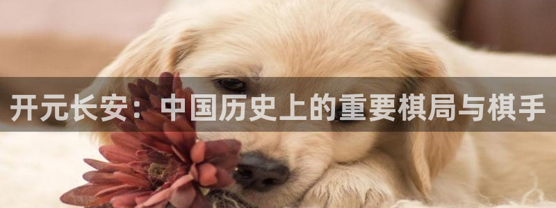 益达娱乐2体育：开元长安：中国历史上的重要棋局与棋手