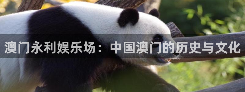 苹果版益达娱乐下载安装：澳门永利娱乐场：中国澳门的历史与文化