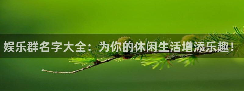 益达娱乐平台注册：娱乐群名字大全：为你的休闲生活增添乐趣！