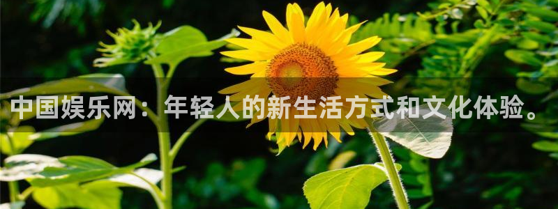 益达娱乐麻将胡了：中国娱乐网：年轻人的新生活方式和文化体验。
