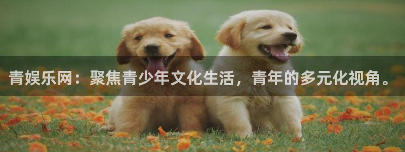 益达娱乐电子游戏：青娱乐网：聚焦青少年文化生活，青年的多元化视角。