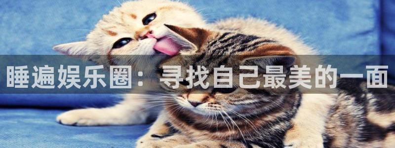 益达娱乐凯捷平台注册链接：睡遍娱乐圈：寻找自己最美的一面