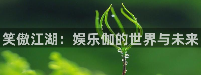 益达娱乐ccm赏金女王