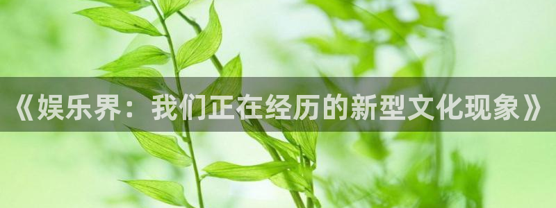 益达娱乐电子游戏网页版：《娱乐界：我们正在经历的新型文化现象》