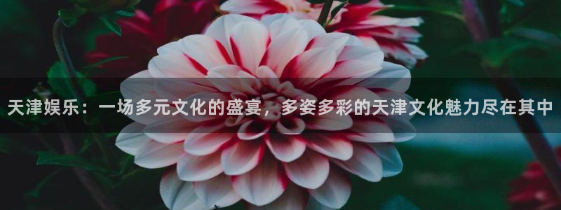 益达娱乐苹果手机下载链接：天津娱乐：一场多元文化的盛宴，多姿多彩的天津文化魅力尽在其中