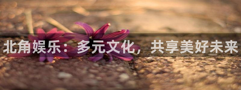 益达娱乐凯捷开号链接：北角娱乐：多元文化，共享美好未来