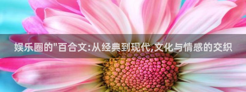 益达娱乐2平台：娱乐圈的\
