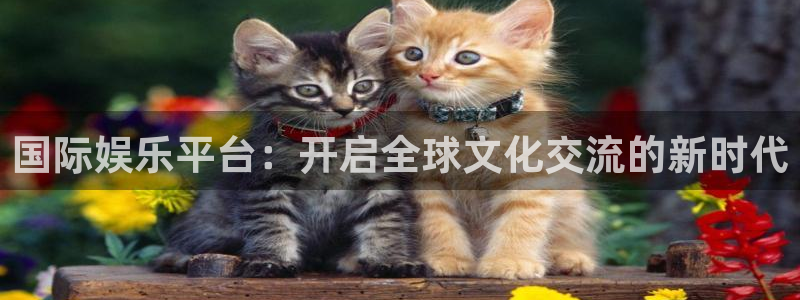 益达娱乐：国际娱乐平台：开启全球文化交流的新时代