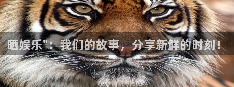 益达娱乐网站：晒娱乐\