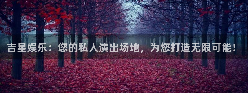 益达娱乐5招商：吉星娱乐：您的私人演出场地，为您打造无限可能！