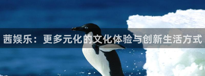 益达娱乐体育游戏：茜娱乐：更多元化的文化体验与创新生活方式