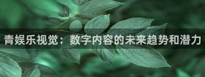 益达娱乐4代理：青娱乐视觉：数字内容的未来趋势和潜力