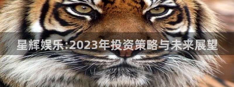 益达娱乐网站登录流程：星辉娱乐:2023年投资策略与未来展望