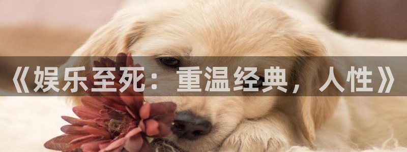 益达娱乐注册网站：《娱乐至死：重温经典，人性》