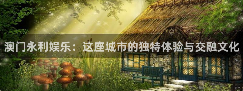 佛山市南海益达娱乐机电仪器有限公司：澳门永利娱乐：这座城市的独特体验与交融文化